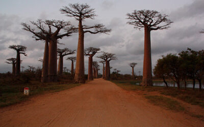 LAS EMPRESAS Y LA SOCIEDAD